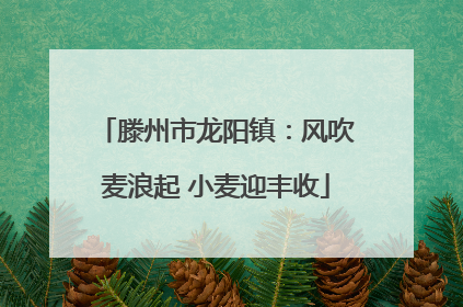 滕州市龙阳镇：风吹麦浪起 小麦迎丰收