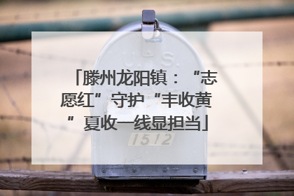 滕州龙阳镇：“志愿红”守护“丰收黄”夏收一线显担当