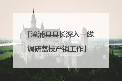 漳浦县县长深入一线调研荔枝产销工作