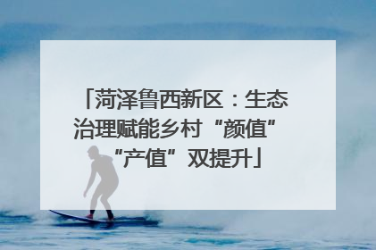 菏泽鲁西新区：生态治理赋能乡村“颜值”“产值”双提升