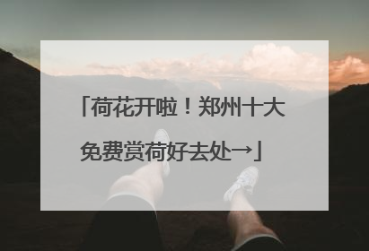 荷花开啦！郑州十大免费赏荷好去处→