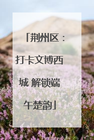 荆州区：打卡文博西城 解锁端午楚韵