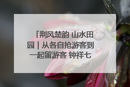荆风楚韵 山水田园｜从各自抢游客到一起留游客 钟祥七村抱团解了“乡愁”添了“乡酬”