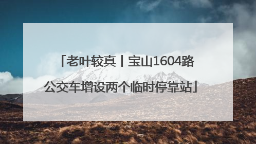 老叶较真丨宝山1604路公交车增设两个临时停靠站