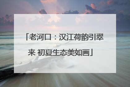 老河口：汉江荷韵引翠来 初夏生态美如画