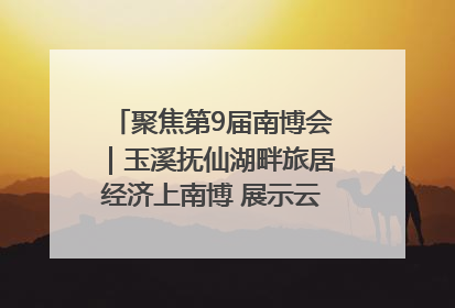 聚焦第9届南博会｜玉溪抚仙湖畔旅居经济上南博 展示云南生活新样本