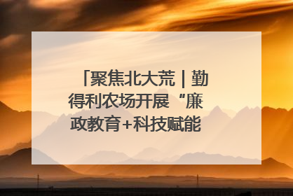 聚焦北大荒｜勤得利农场开展“廉政教育+科技赋能”主题党日活动