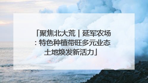 聚焦北大荒｜延军农场：特色种植带旺多元业态 土地焕发新活力