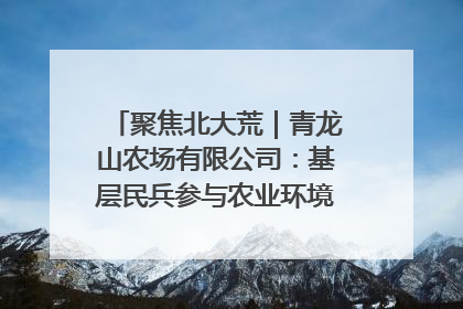 聚焦北大荒｜青龙山农场有限公司：基层民兵参与农业环境综合治理显效