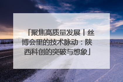 聚焦高质量发展丨丝博会里的技术脉动：陕西科创的突破与想象
