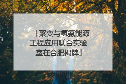 聚变与氢氨能源工程应用联合实验室在合肥揭牌