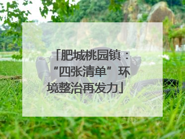 肥城桃园镇：“四张清单”环境整治再发力