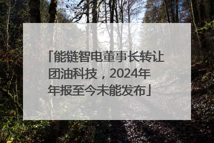 能链智电董事长转让团油科技，2024年年报至今未能发布