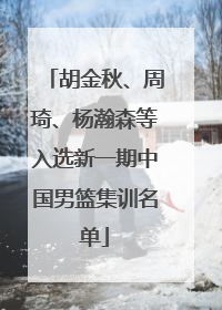 胡金秋、周琦、杨瀚森等入选新一期中国男篮集训名单
