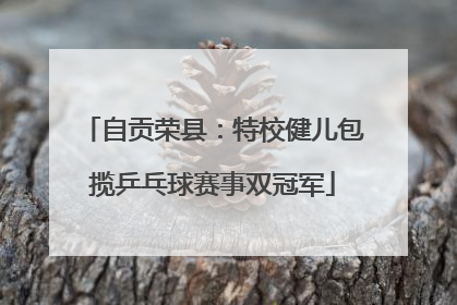 自贡荣县：特校健儿包揽乒乓球赛事双冠军