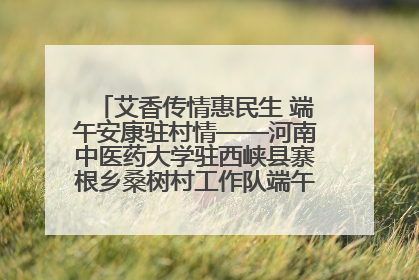 艾香传情惠民生 端午安康驻村情——河南中医药大学驻西峡县寨根乡桑树村工作队端午中医惠民记