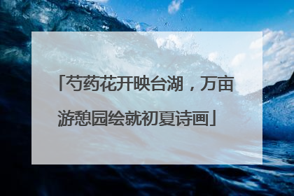 芍药花开映台湖，万亩游憩园绘就初夏诗画