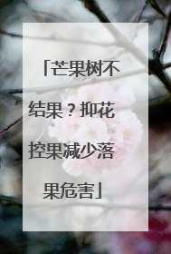 芒果树不结果？抑花控果减少落果危害