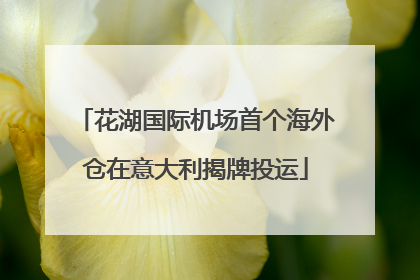 花湖国际机场首个海外仓在意大利揭牌投运