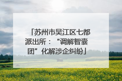苏州市吴江区七都派出所：“调解智囊团”化解涉企纠纷