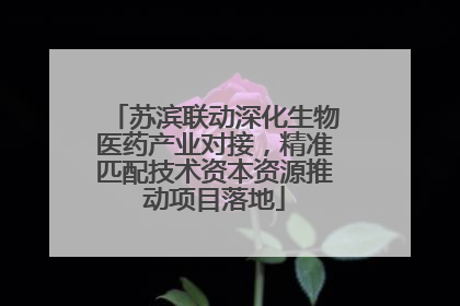 苏滨联动深化生物医药产业对接，精准匹配技术资本资源推动项目落地