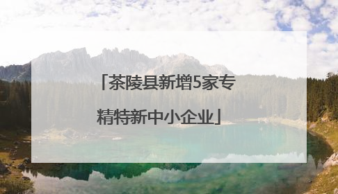 茶陵县新增5家专精特新中小企业
