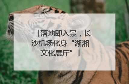 落地即入景，长沙机场化身“湖湘文化展厅”