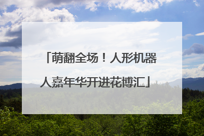 萌翻全场！人形机器人嘉年华开进花博汇