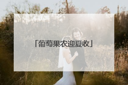 葡萄果农迎夏收