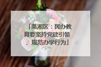 蒸湘区：民办教育要坚持党建引领、规范办学行为