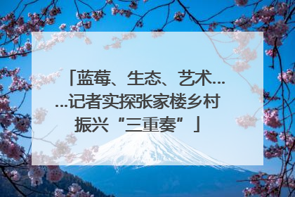 蓝莓、生态、艺术……记者实探张家楼乡村振兴“三重奏”