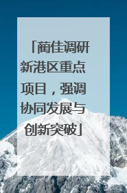 蔺佳调研新港区重点项目，强调协同发展与创新突破