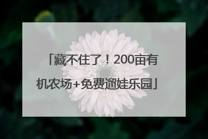 藏不住了！200亩有机农场+免费遛娃乐园