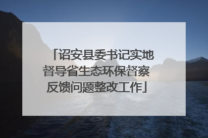诏安县委书记实地督导省生态环保督察反馈问题整改工作