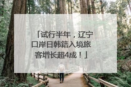 试行半年，辽宁口岸日韩籍入境旅客增长超4成！