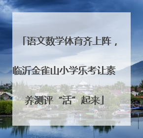 语文数学体育齐上阵，临沂金雀山小学乐考让素养测评“活”起来