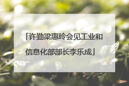许勤梁惠玲会见工业和信息化部部长李乐成
