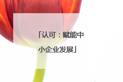 认可：赋能中小企业发展