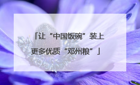 让“中国饭碗”装上更多优质“邓州粮”