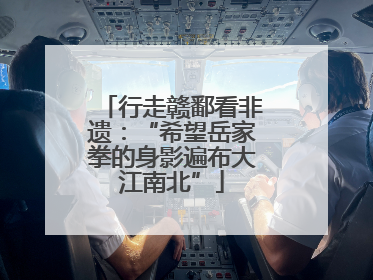 行走赣鄱看非遗：“希望岳家拳的身影遍布大江南北”