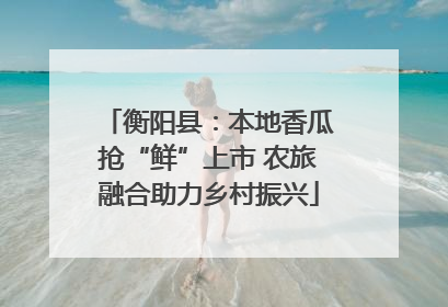 衡阳县：本地香瓜抢“鲜”上市 农旅融合助力乡村振兴