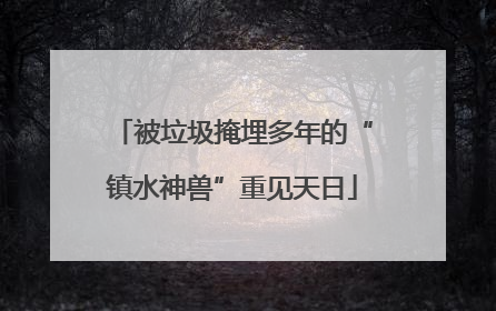 被垃圾掩埋多年的“镇水神兽”重见天日