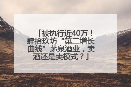 被执行近40万！肆拾玖坊“第二增长曲线”茅泉酒业，卖酒还是卖模式？