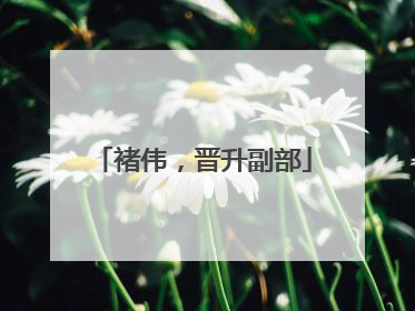褚伟，晋升副部