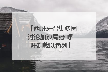 西班牙召集多国讨论加沙局势 呼吁制裁以色列