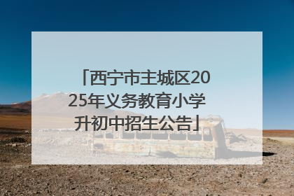 西宁市主城区2025年义务教育小学升初中招生公告