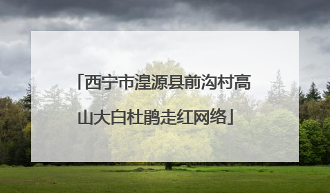 西宁市湟源县前沟村高山大白杜鹃走红网络