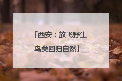 西安：放飞野生鸟类回归自然
