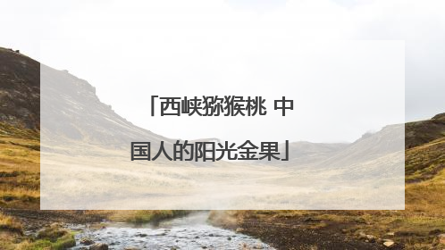 西峡猕猴桃 中国人的阳光金果