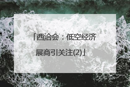 西洽会：低空经济展商引关注(2)
